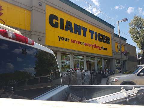 Giant Tiger